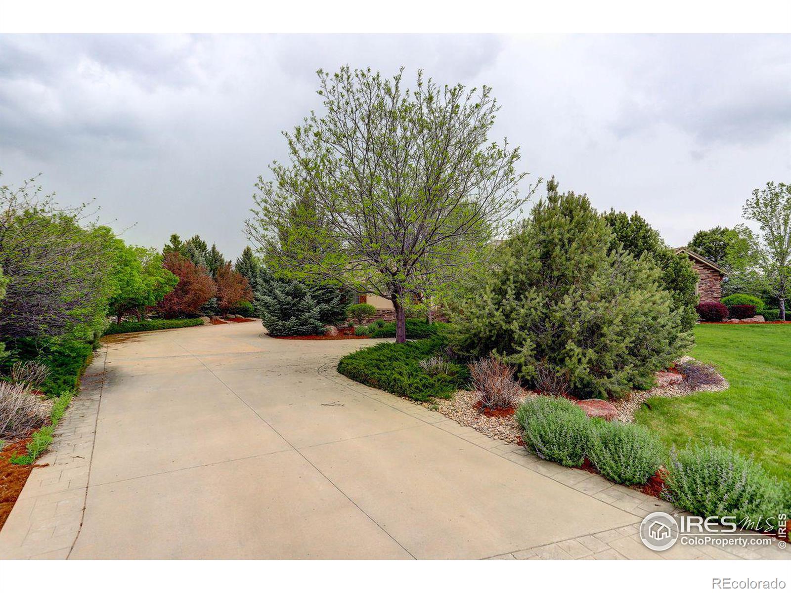 MLS Image #3 for 8762  portico lane,longmont, Colorado