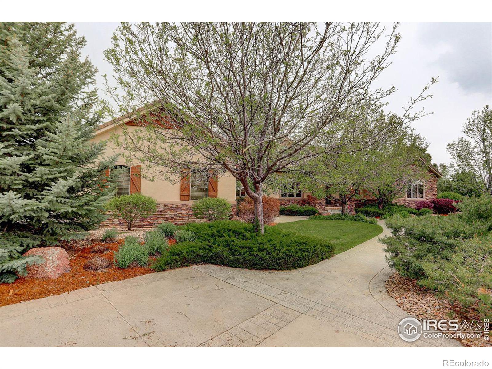 MLS Image #4 for 8762  portico lane,longmont, Colorado