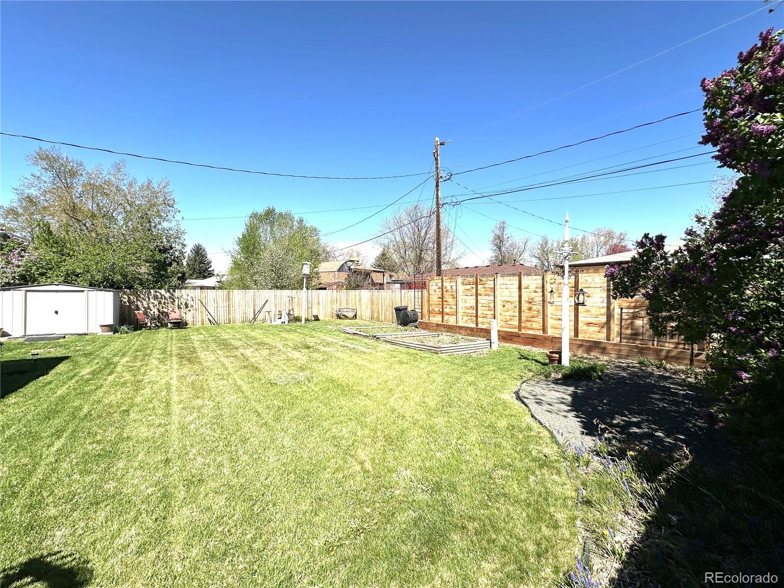 MLS Image #14 for 6  juneau place,longmont, Colorado