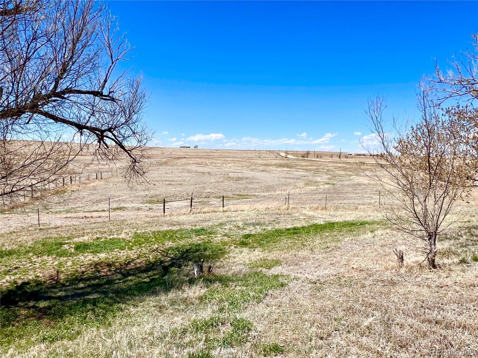 MLS Image #33 for 33558  county road 50 ,ramah, Colorado