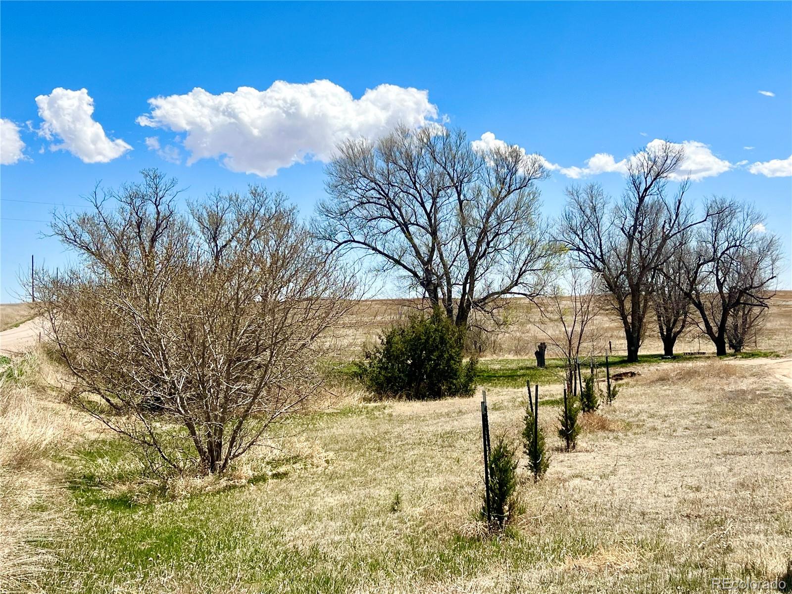 MLS Image #37 for 33558  county road 50 ,ramah, Colorado