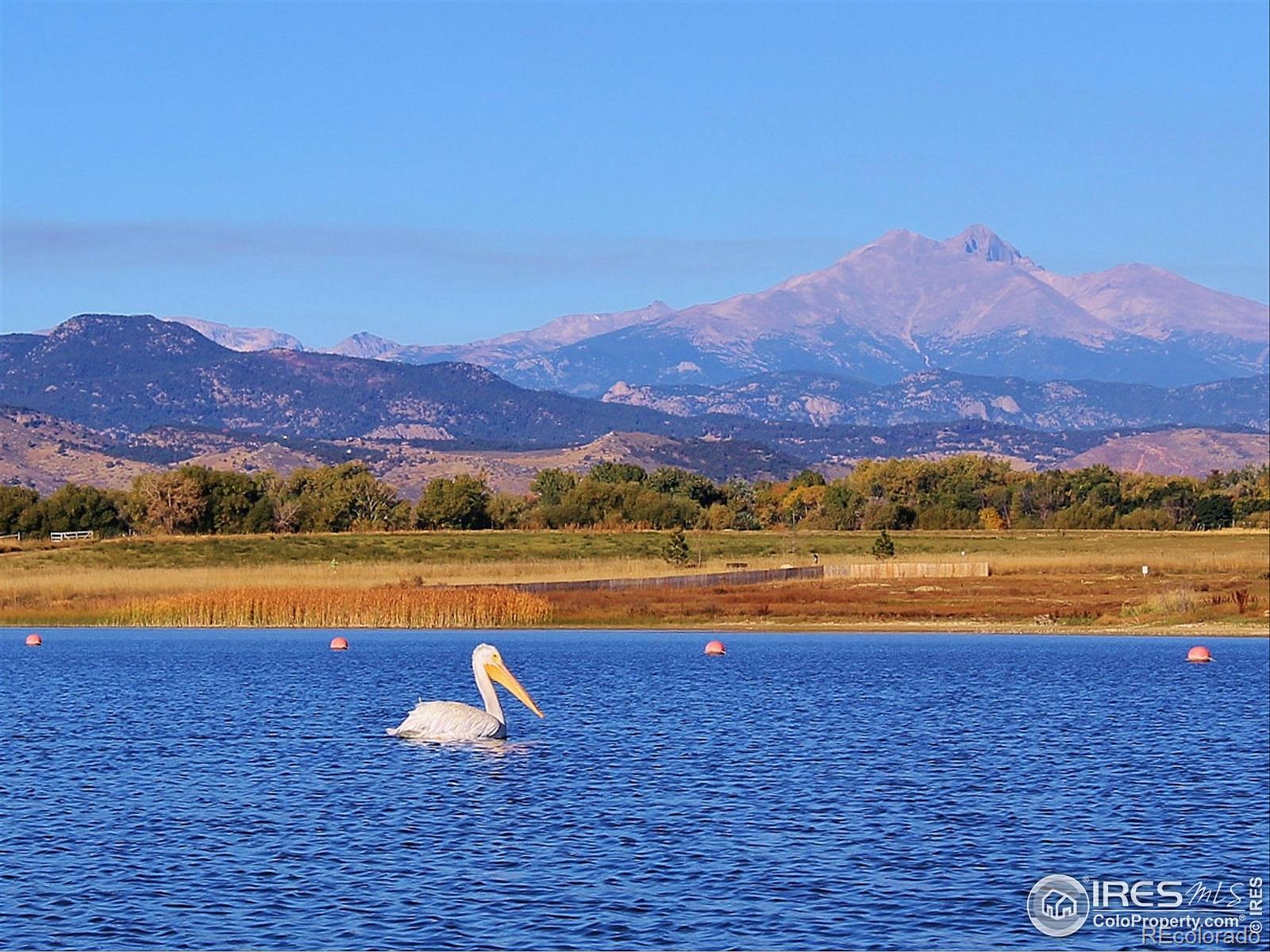 MLS Image #4 for 3563  lakeshore drive,longmont, Colorado