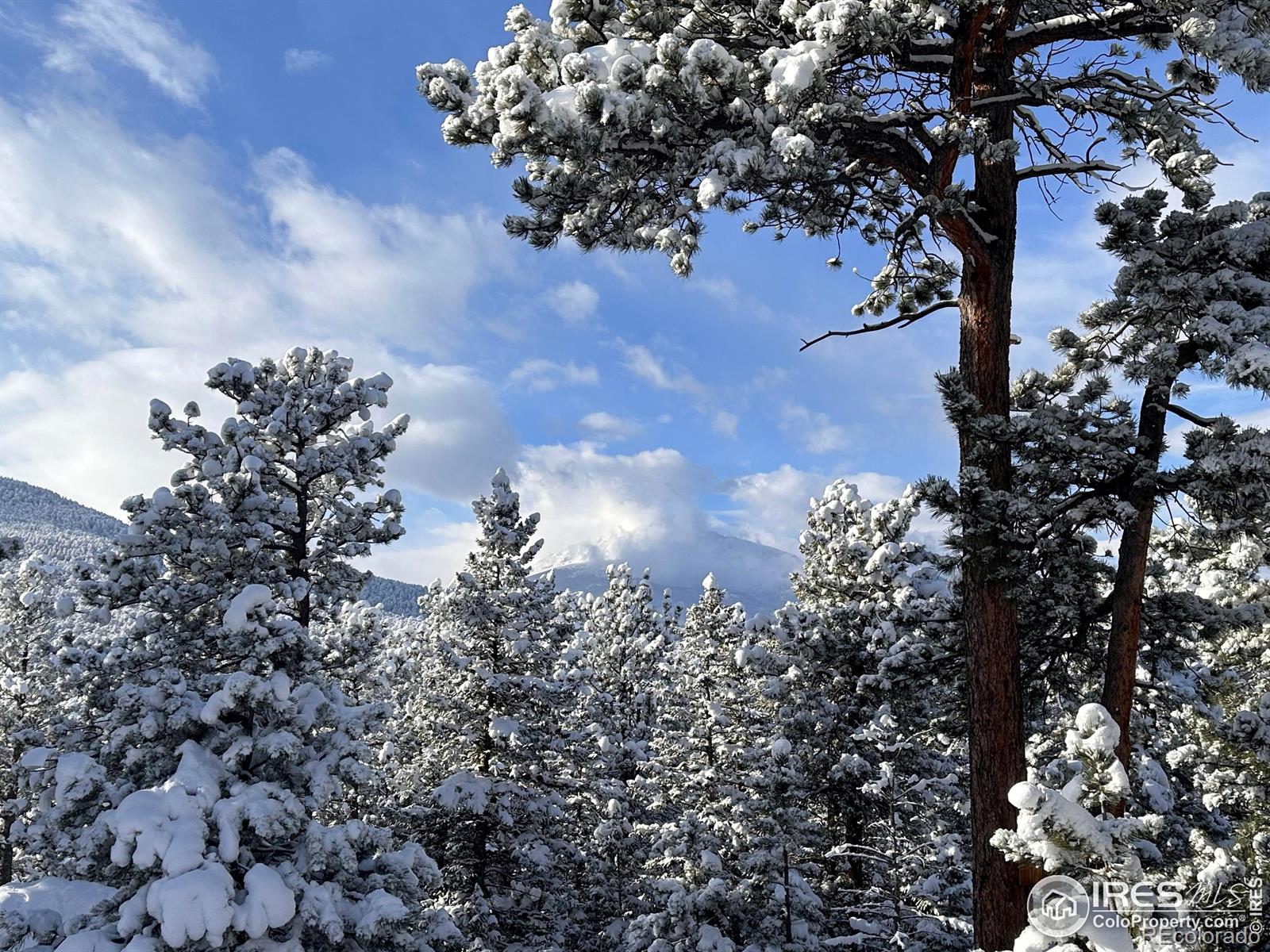 MLS Image #15 for 18655  peak to peak highway,lyons, Colorado