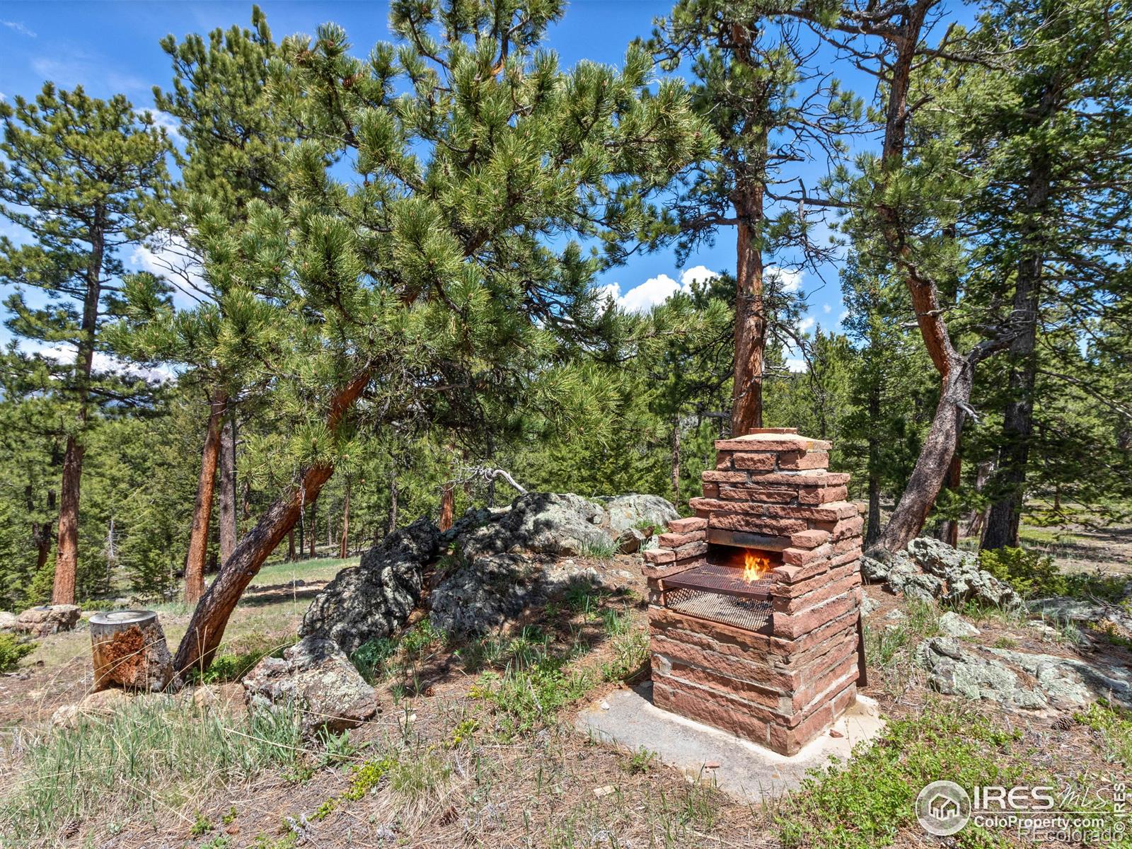 MLS Image #2 for 18655  peak to peak highway,lyons, Colorado