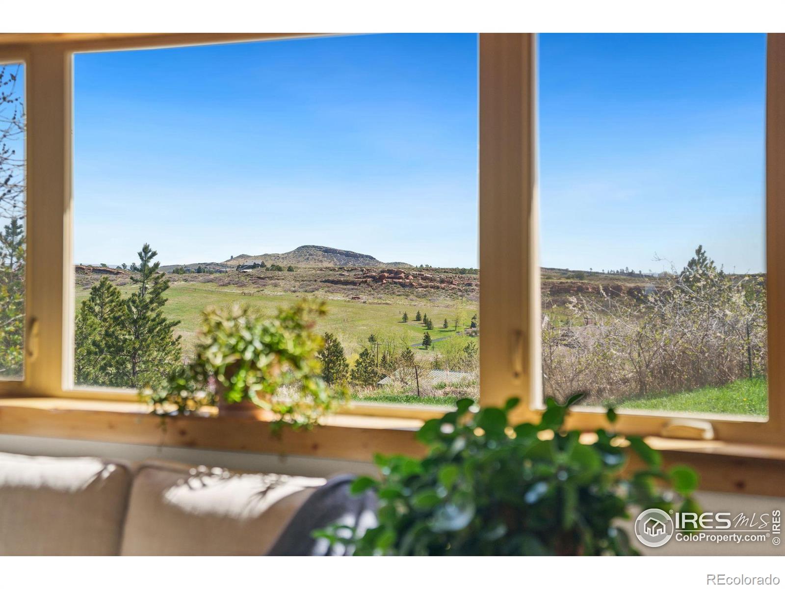 MLS Image #26 for 5909  blue spruce drive,bellvue, Colorado