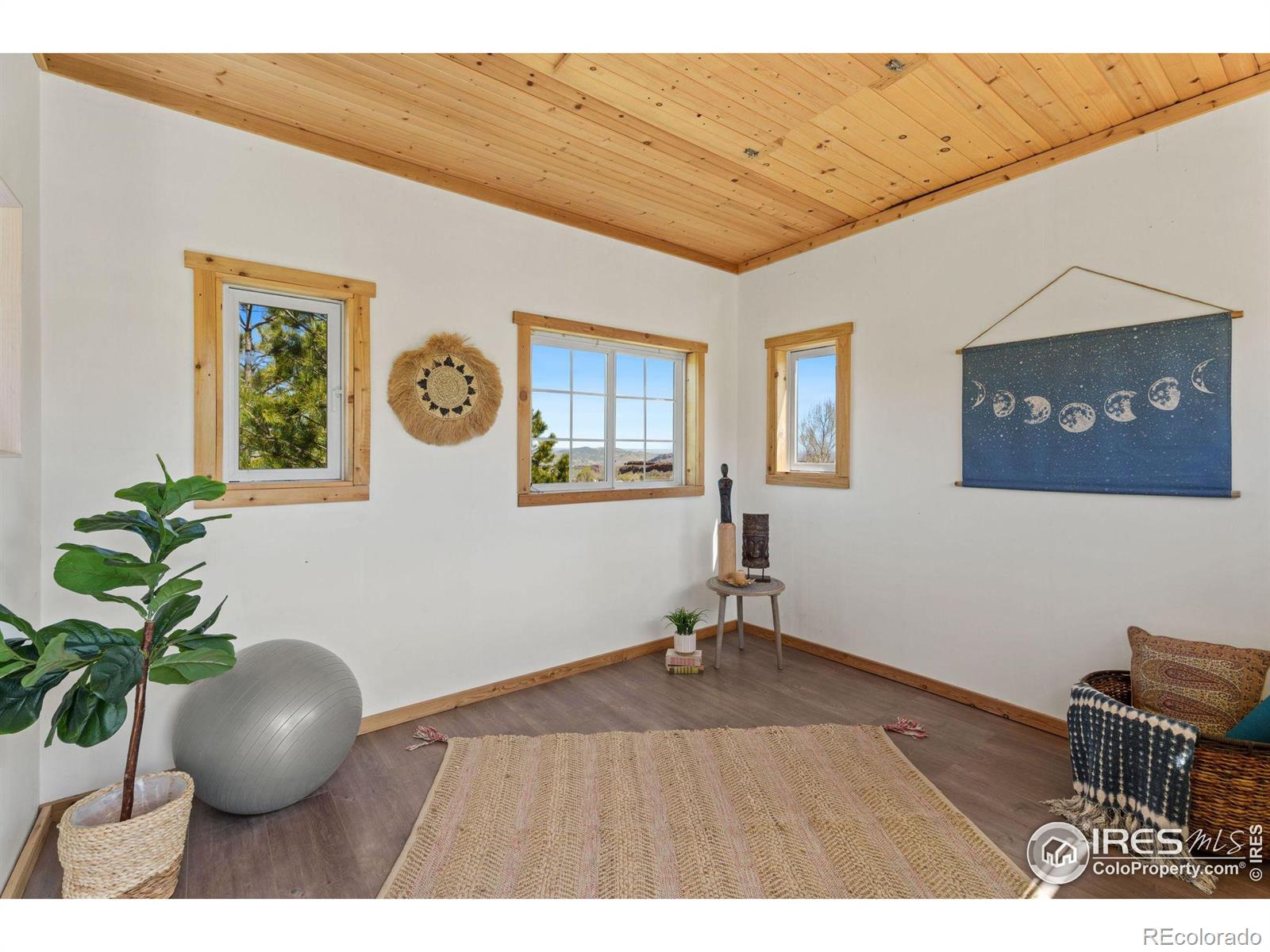 MLS Image #32 for 5909  blue spruce drive,bellvue, Colorado