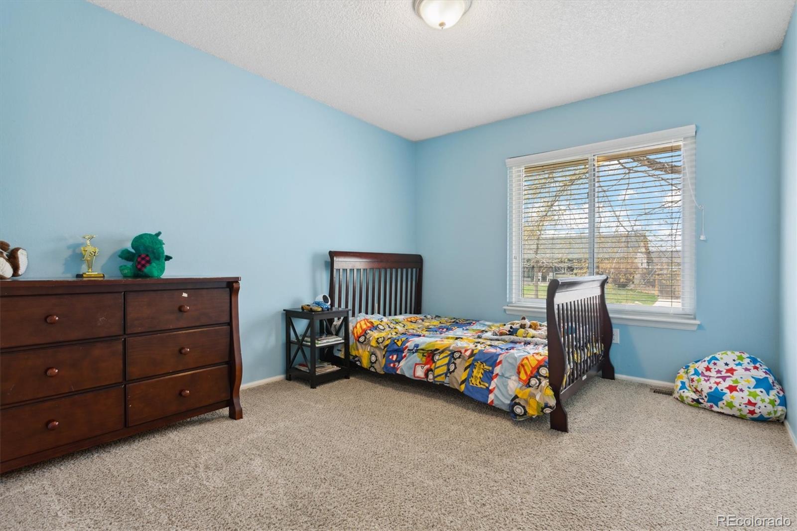 MLS Image #12 for 16691 e navarro drive,aurora, Colorado