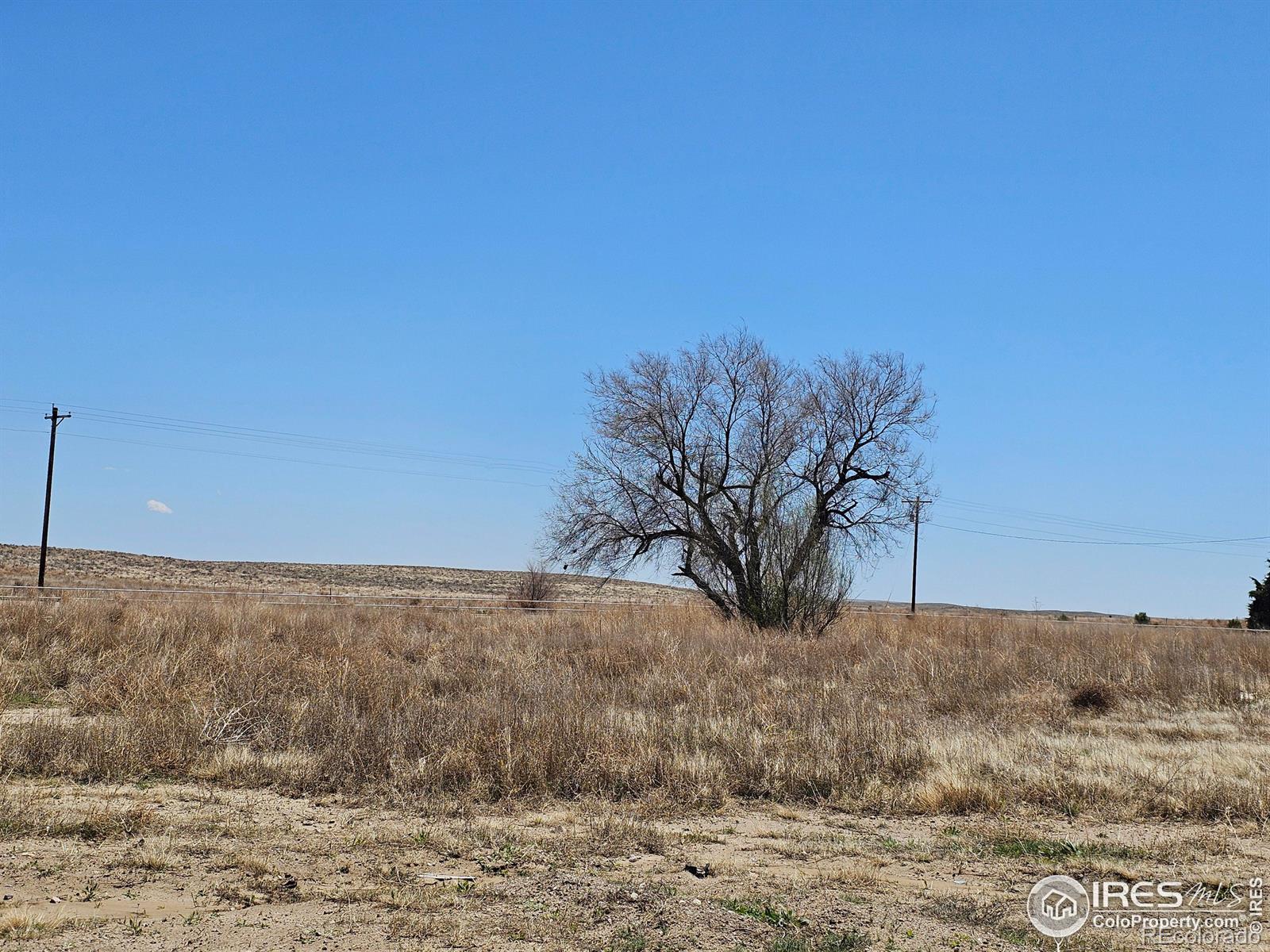 CMA Image for 15075  county road 8 ,Wiggins, Colorado