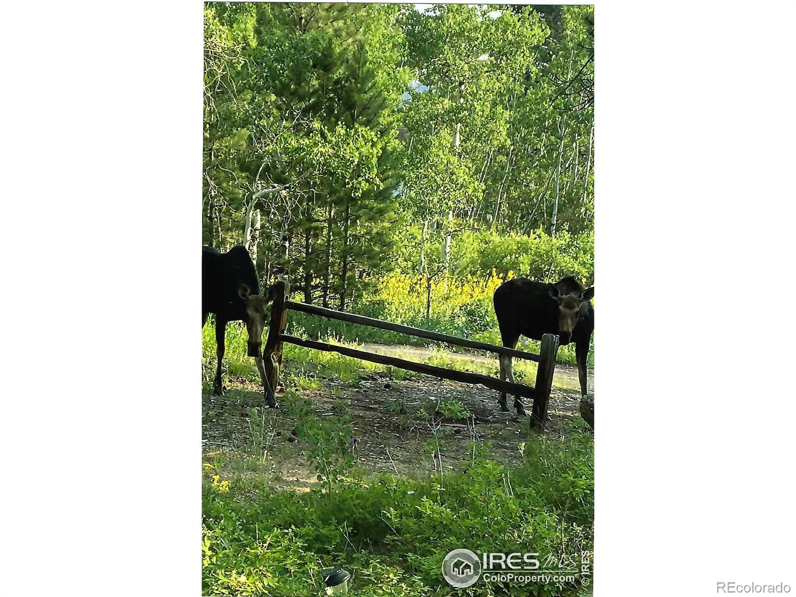 MLS Image #24 for 37  morton road,red feather lakes, Colorado