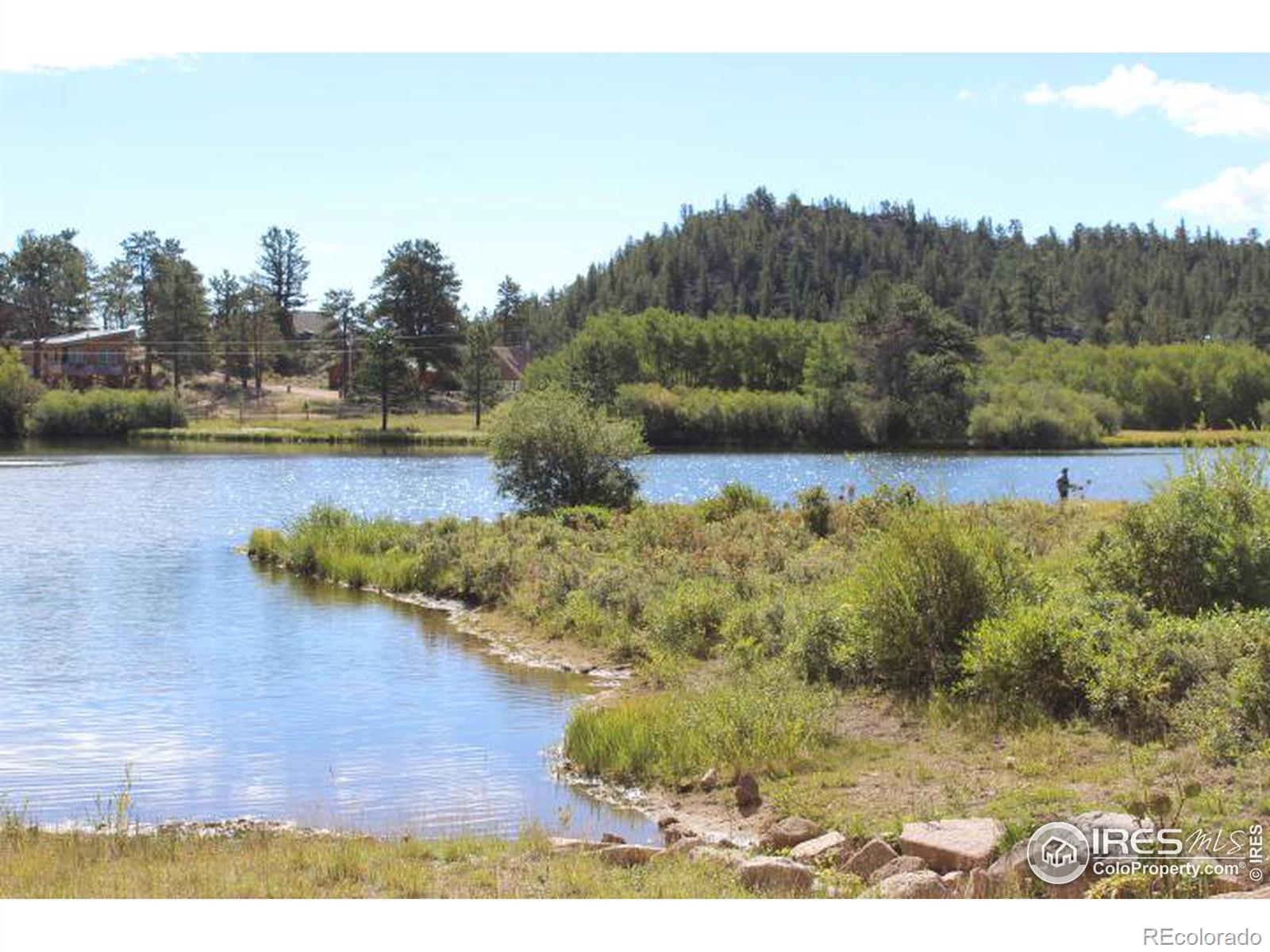 MLS Image #26 for 37  morton road,red feather lakes, Colorado