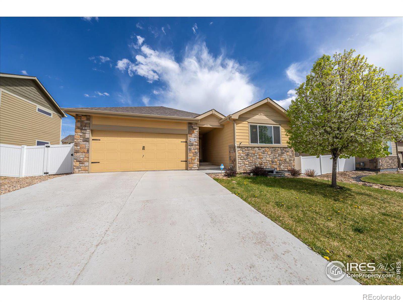 CMA Image for 816  Mt Sneffels Avenue,Severance, Colorado