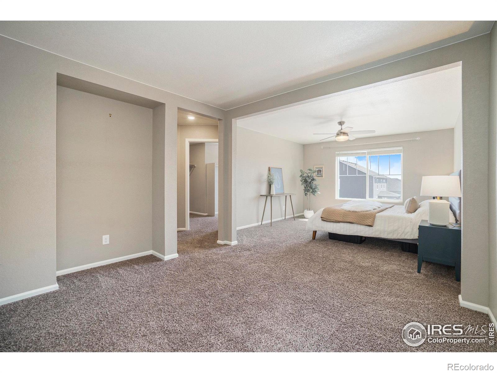 MLS Image #22 for 840  camberly drive,windsor, Colorado