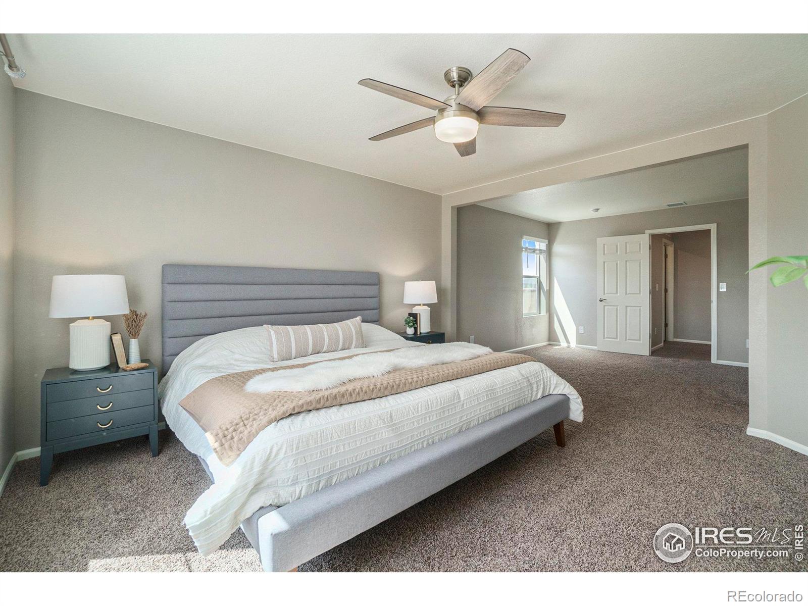 MLS Image #23 for 840  camberly drive,windsor, Colorado