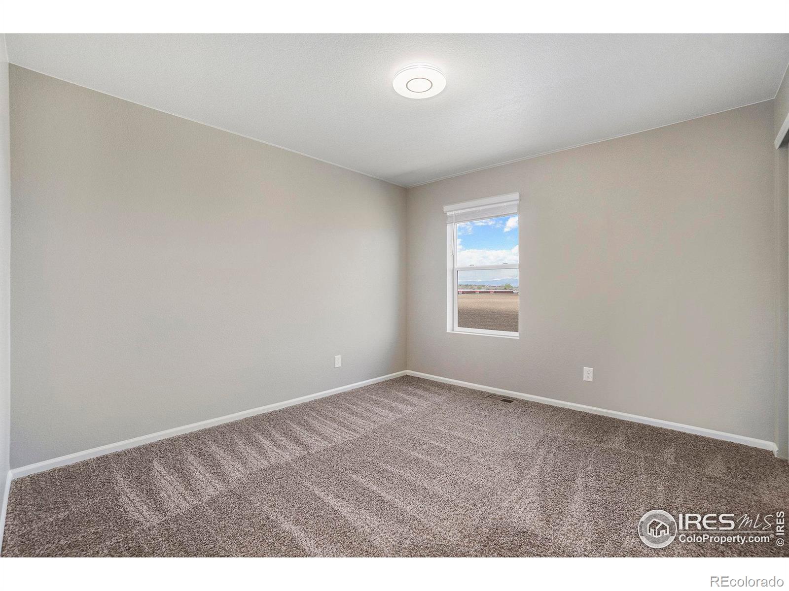 MLS Image #28 for 840  camberly drive,windsor, Colorado