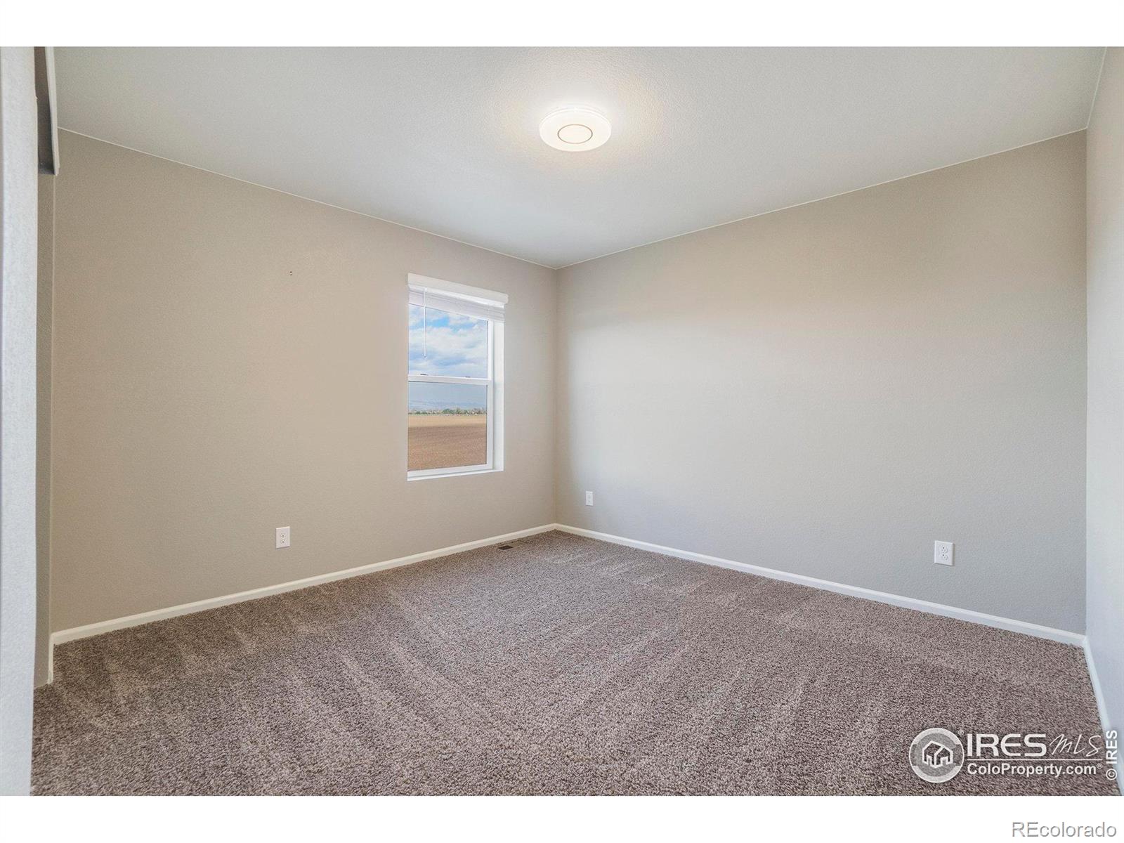 MLS Image #29 for 840  camberly drive,windsor, Colorado