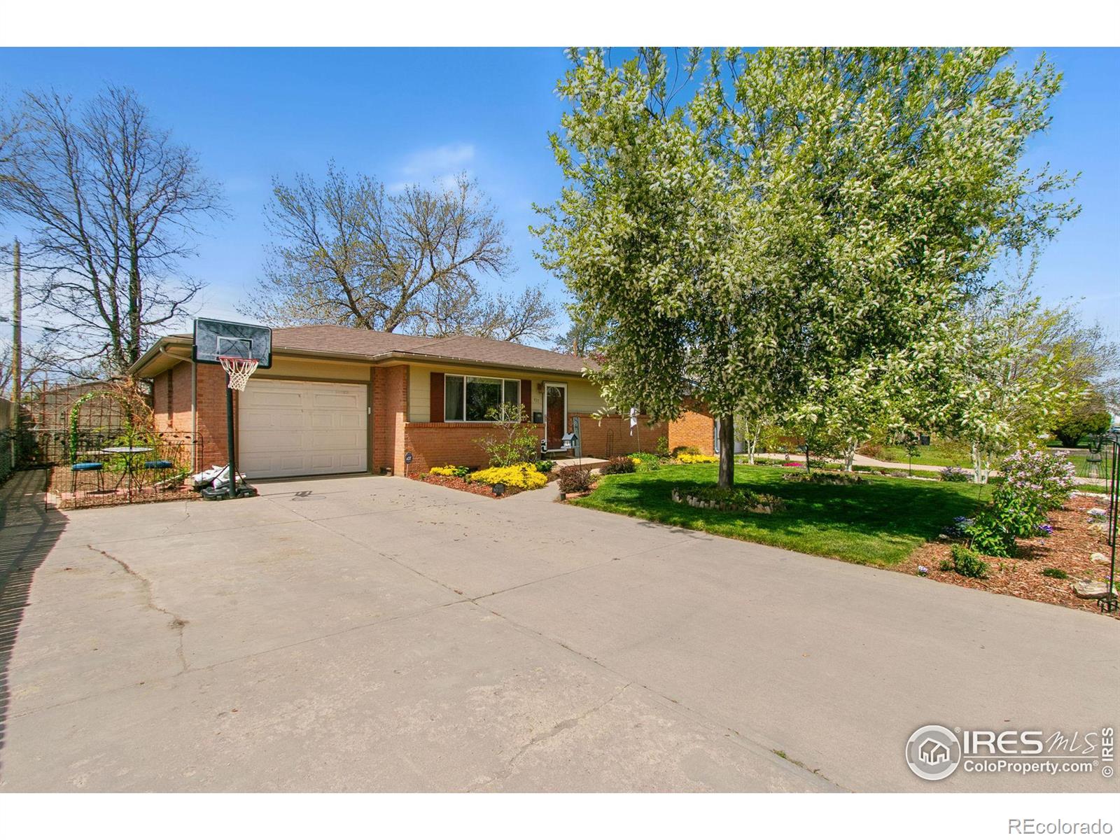 Report Image for 437  30th Avenue,Greeley, Colorado