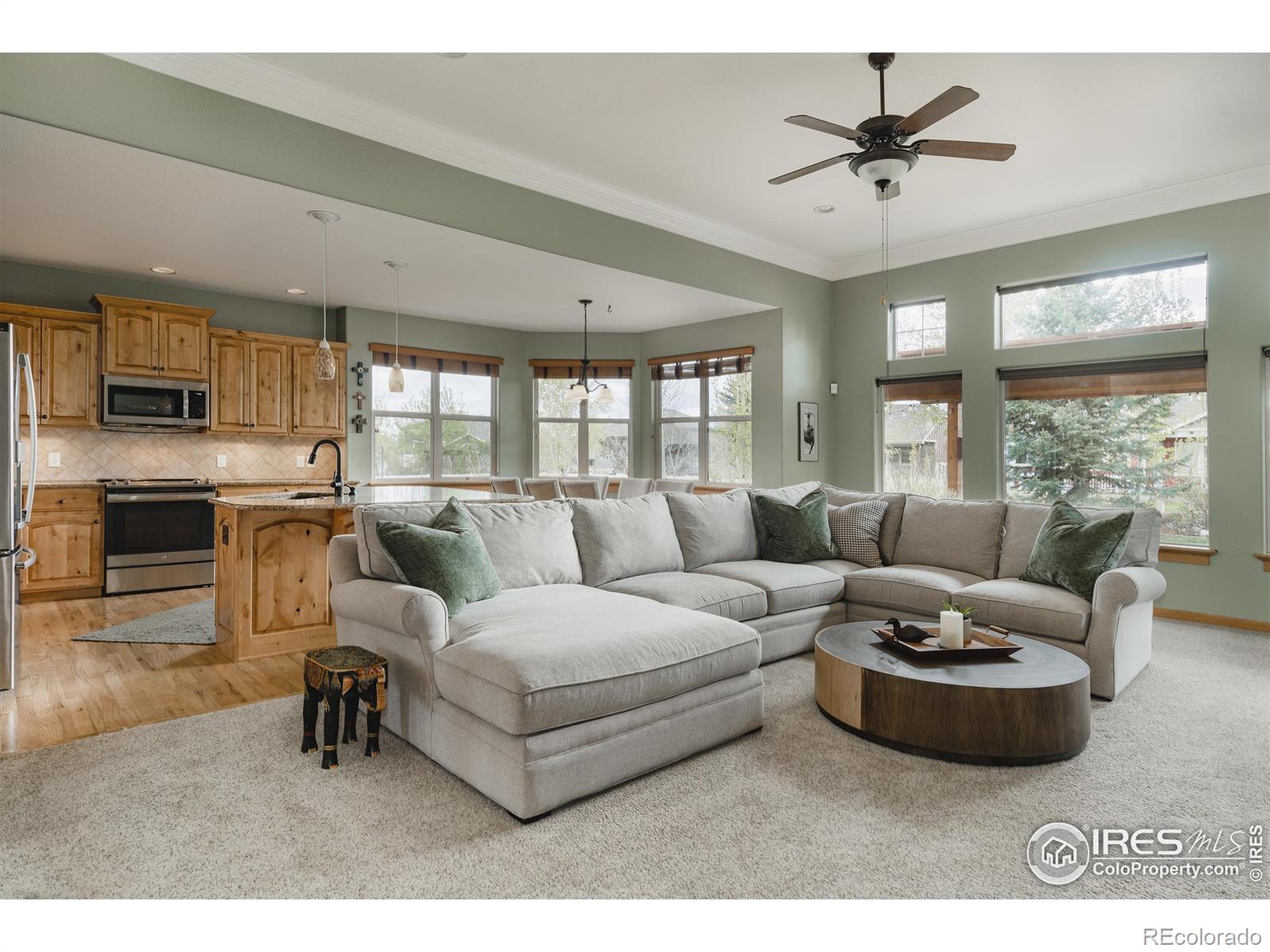 MLS Image #12 for 5145  coral burst circle,loveland, Colorado