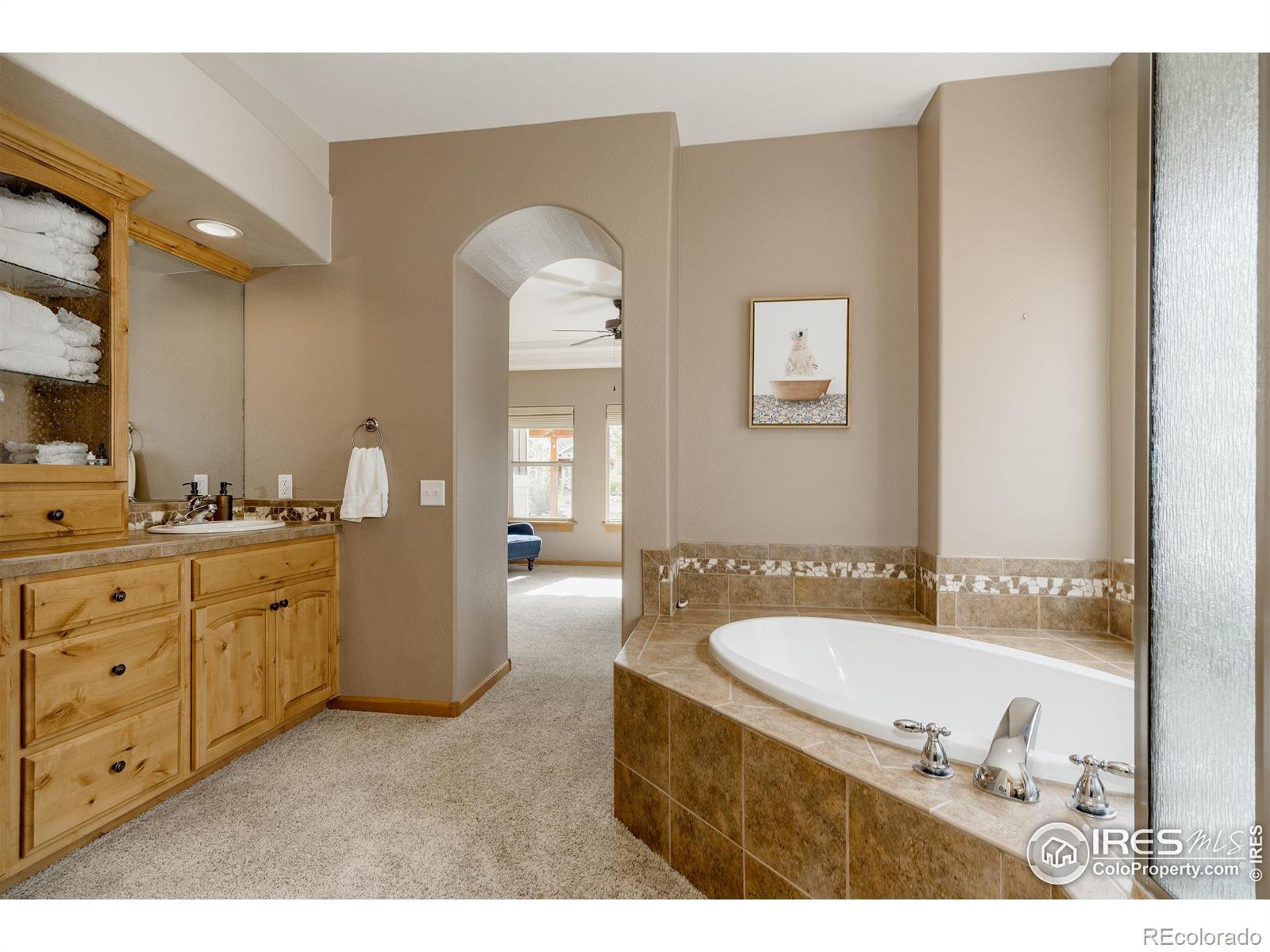 MLS Image #17 for 5145  coral burst circle,loveland, Colorado