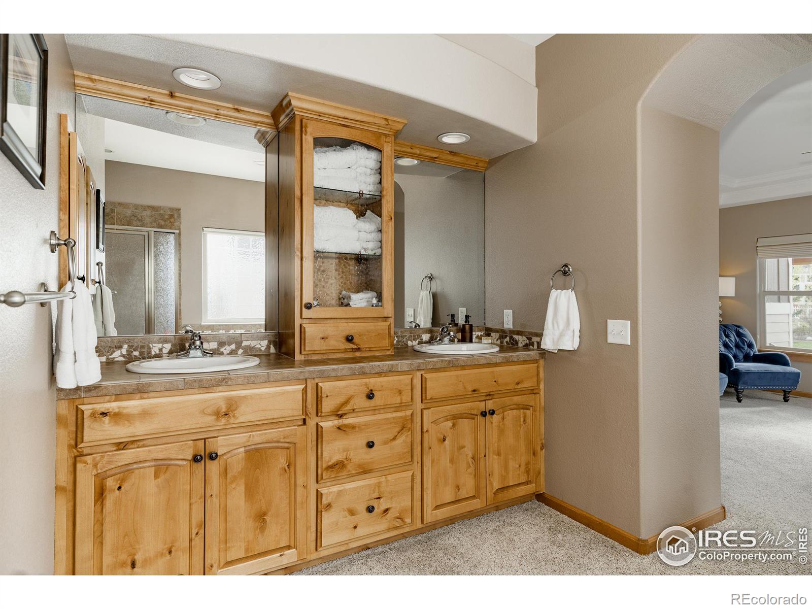 MLS Image #18 for 5145  coral burst circle,loveland, Colorado