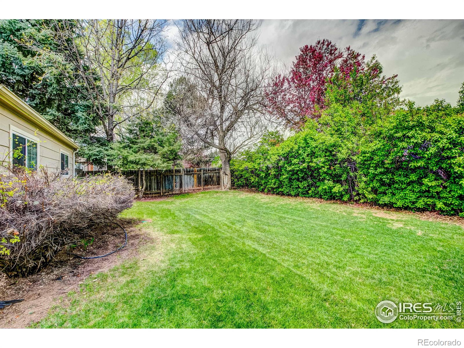 MLS Image #33 for 312  starling street,fort collins, Colorado