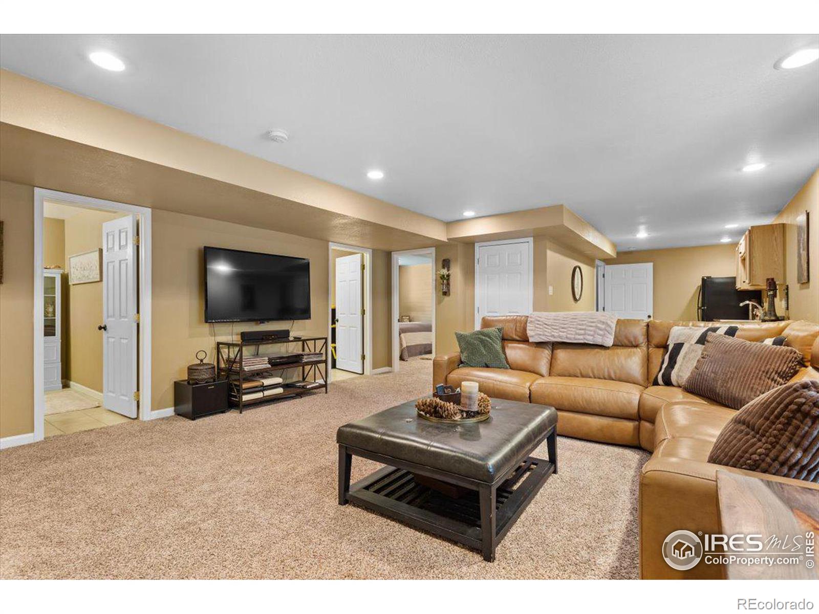 MLS Image #19 for 879  emerald drive,windsor, Colorado