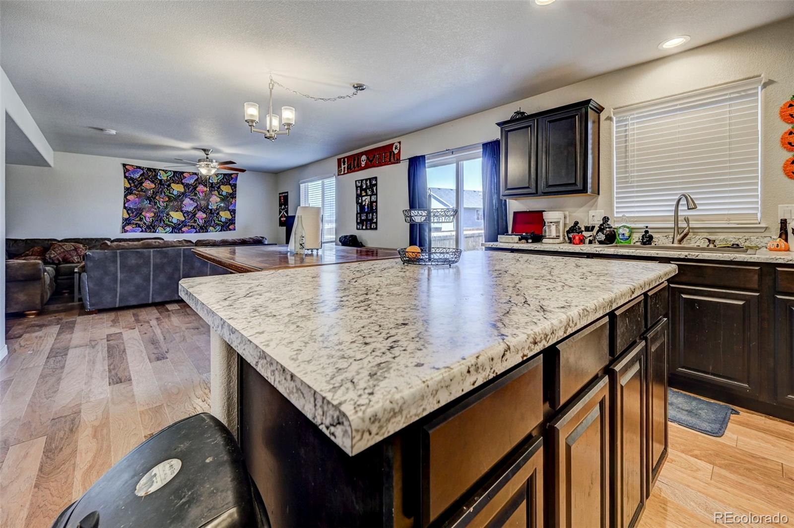 MLS Image #10 for 10772  yuba drive,colorado springs, Colorado