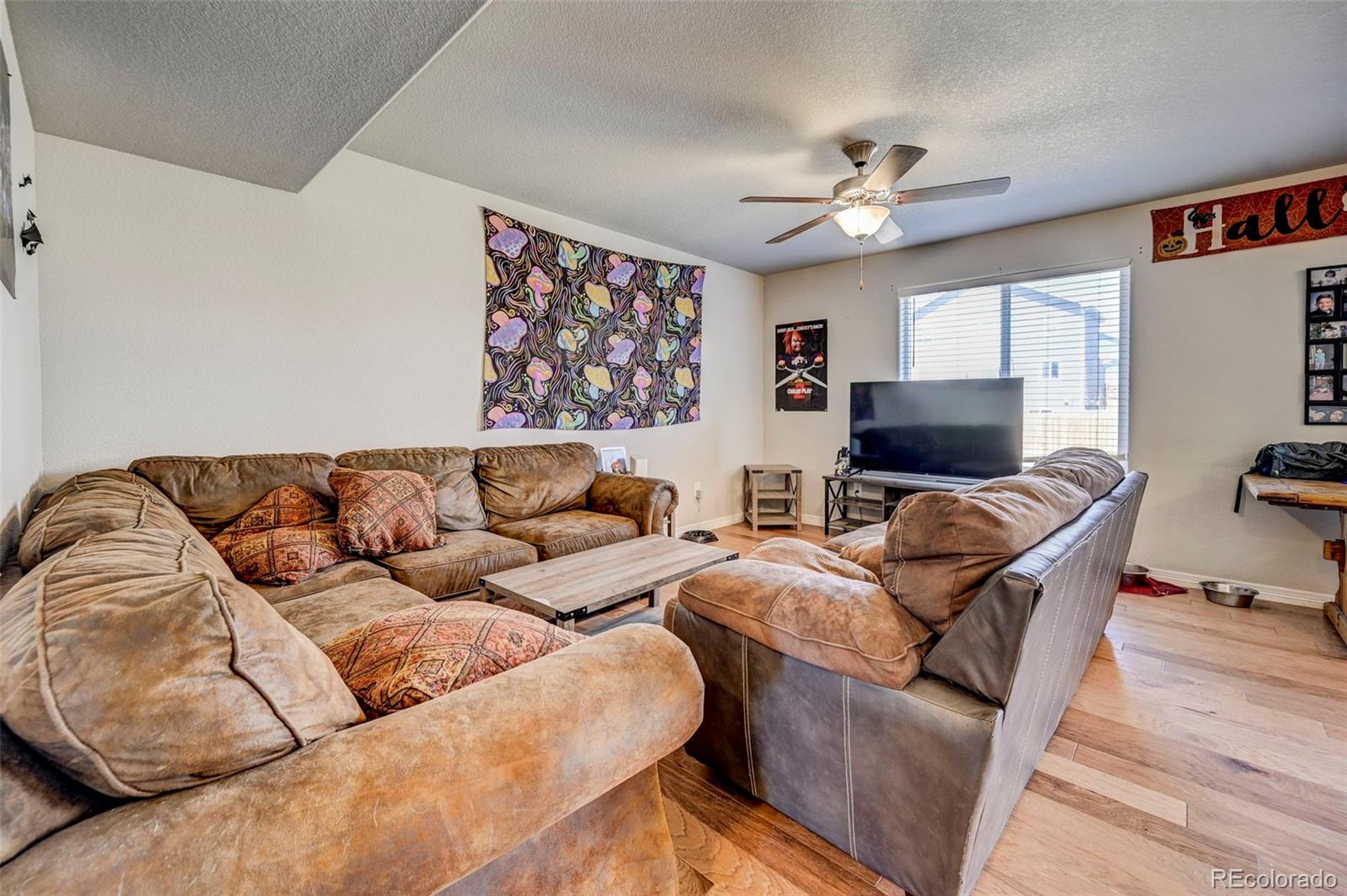 MLS Image #11 for 10772  yuba drive,colorado springs, Colorado