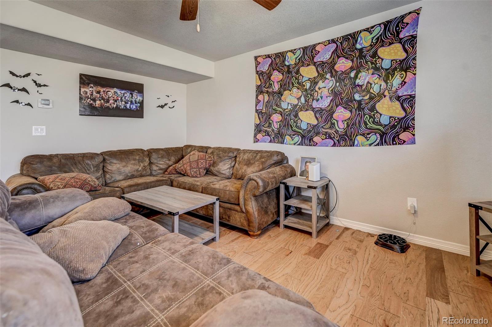 MLS Image #12 for 10772  yuba drive,colorado springs, Colorado