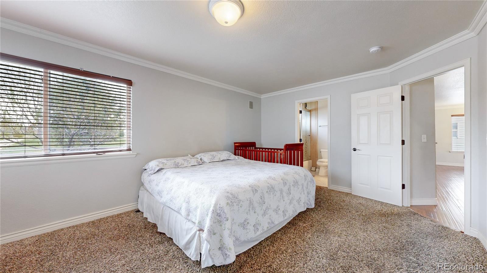 MLS Image #11 for 1173  fall river circle,longmont, Colorado