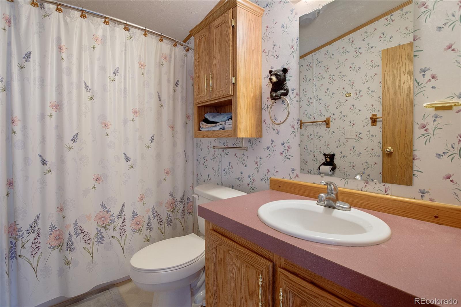 MLS Image #18 for 95  trout haven road,florissant, Colorado