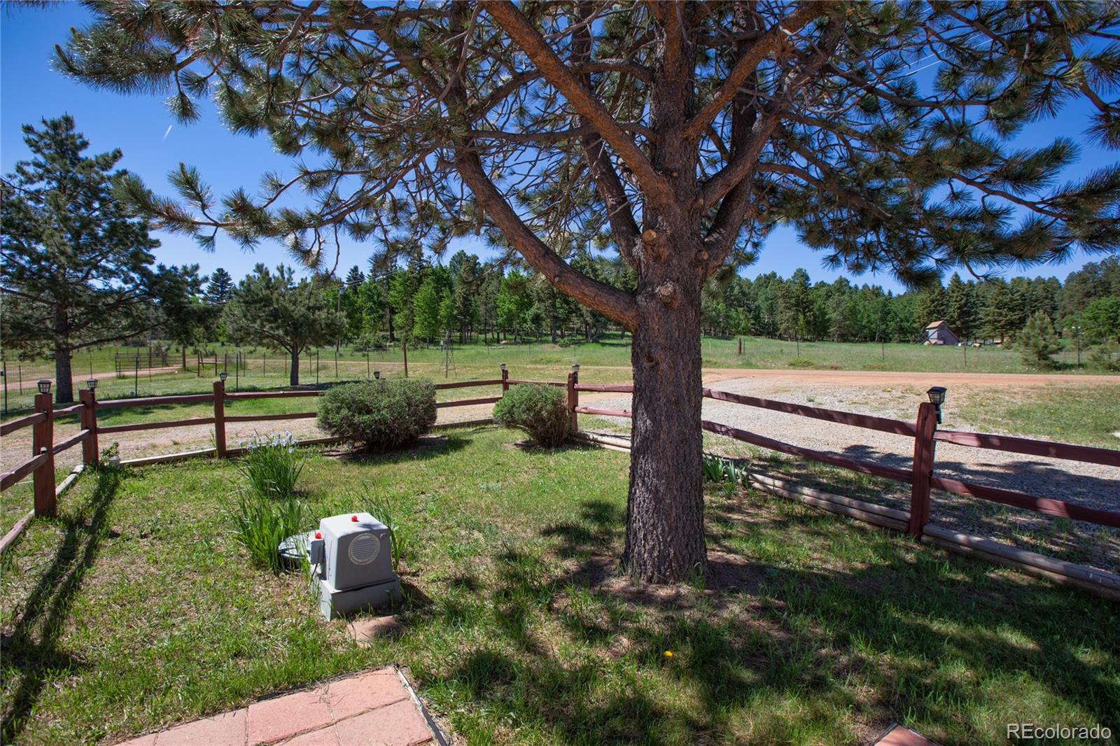 MLS Image #4 for 95  trout haven road,florissant, Colorado