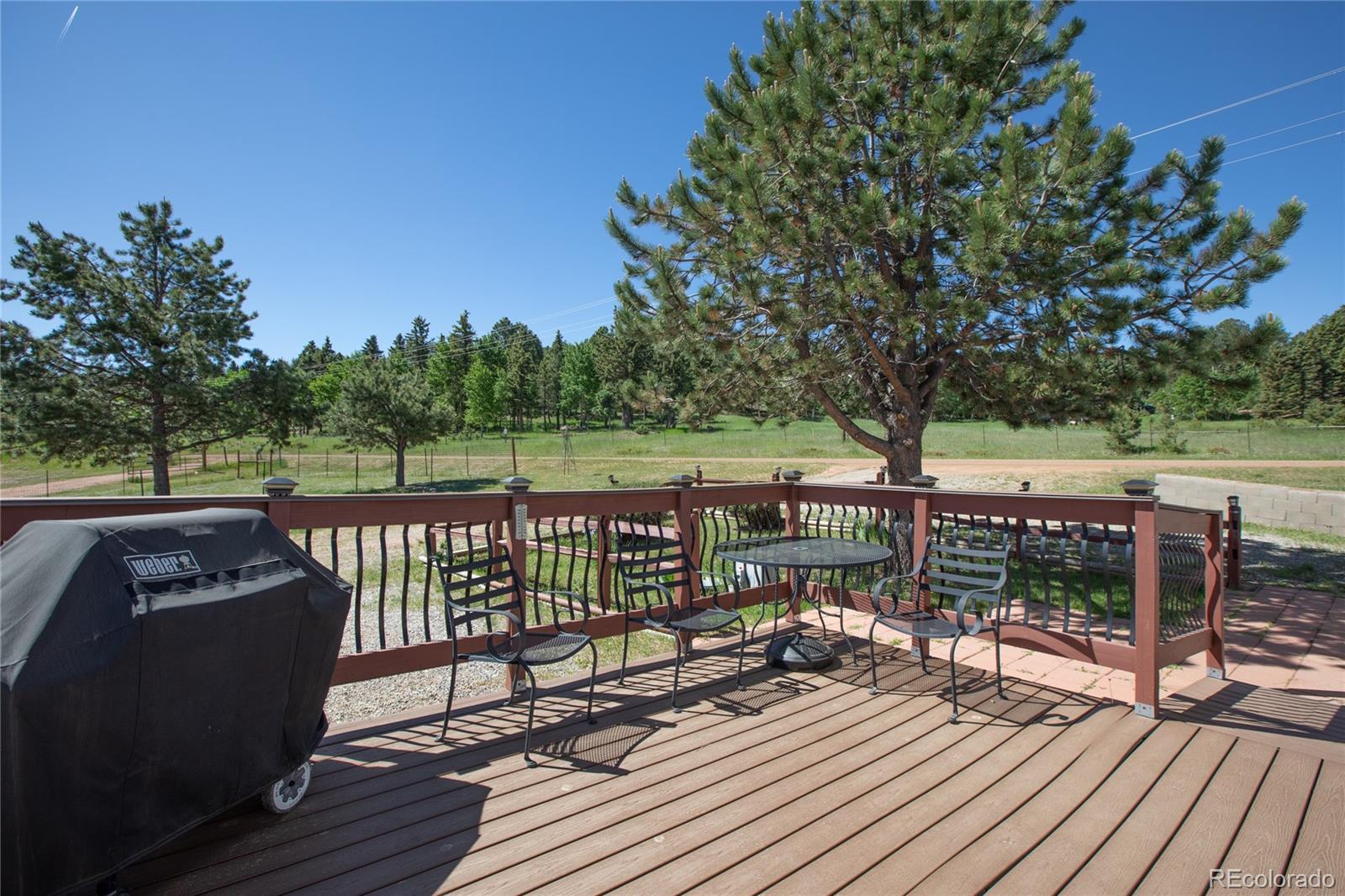 MLS Image #5 for 95  trout haven road,florissant, Colorado