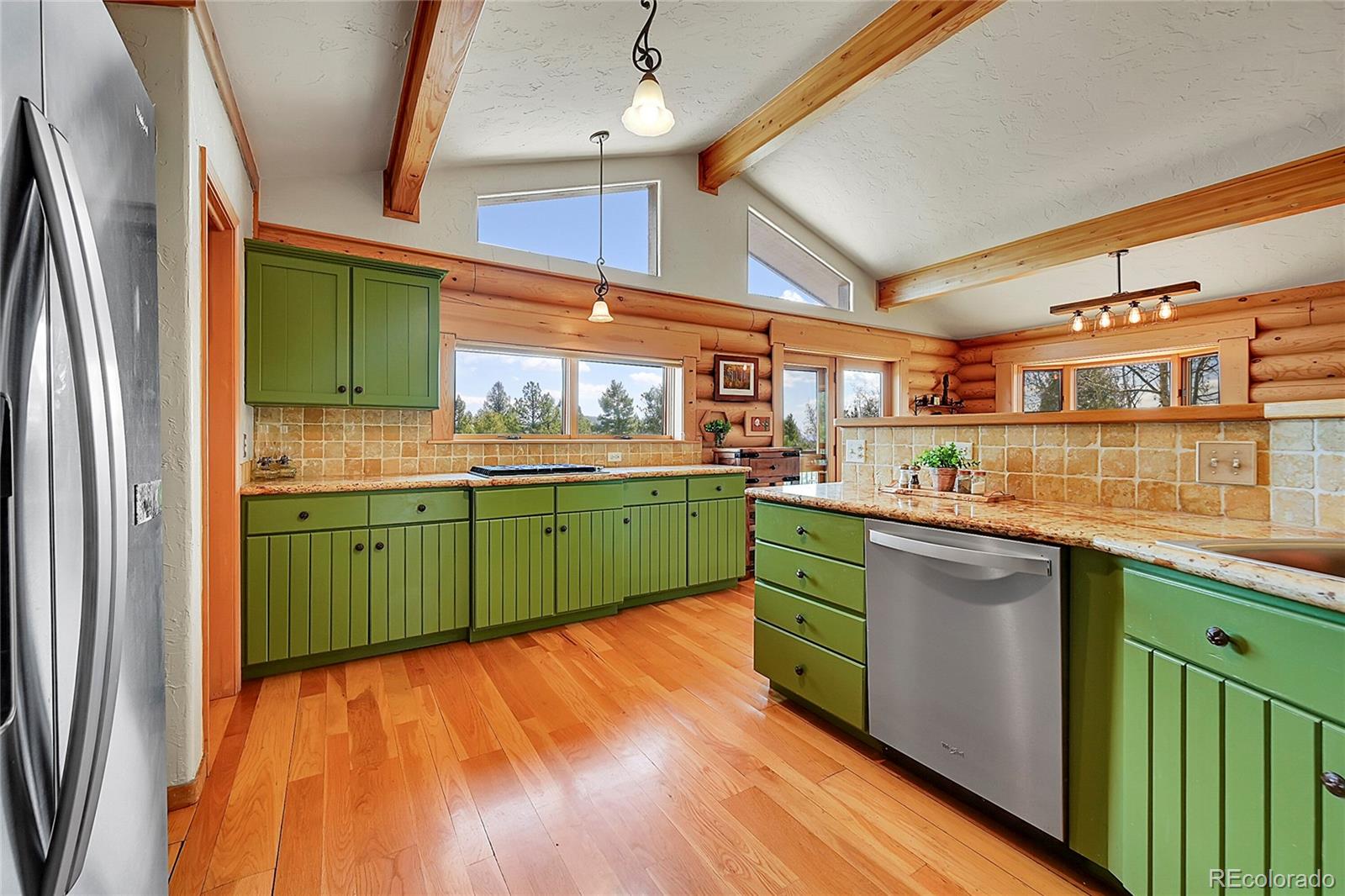 MLS Image #13 for 1392  tapadero road,bailey, Colorado