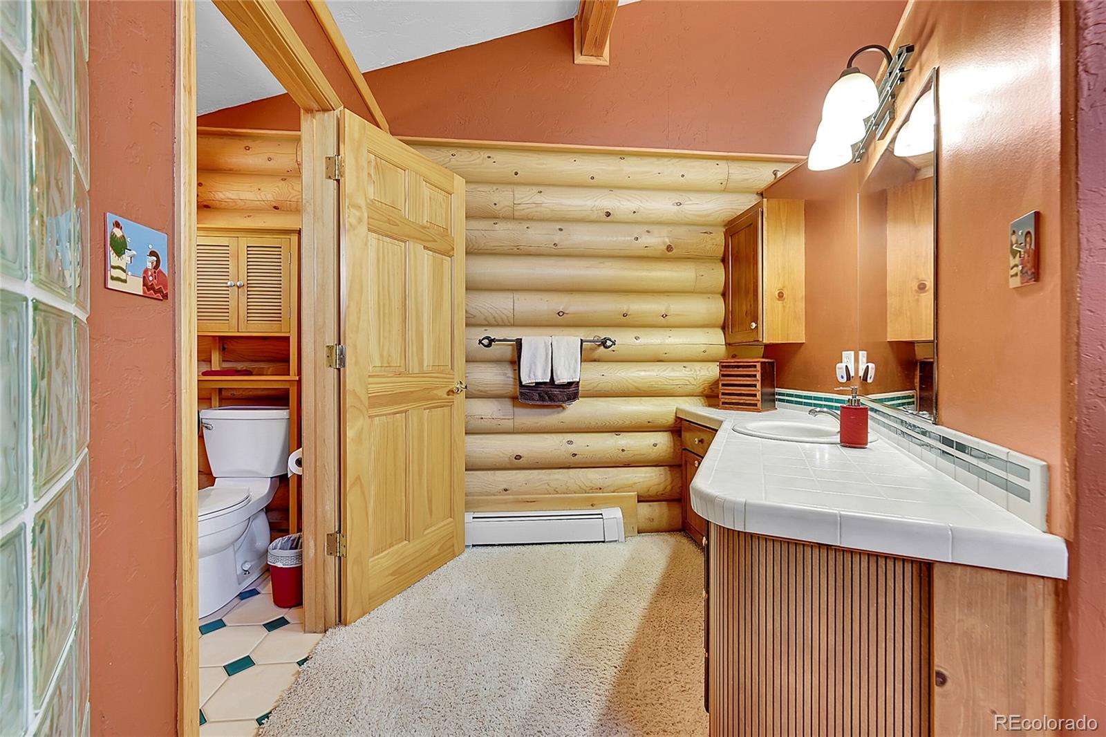 MLS Image #17 for 1392  tapadero road,bailey, Colorado