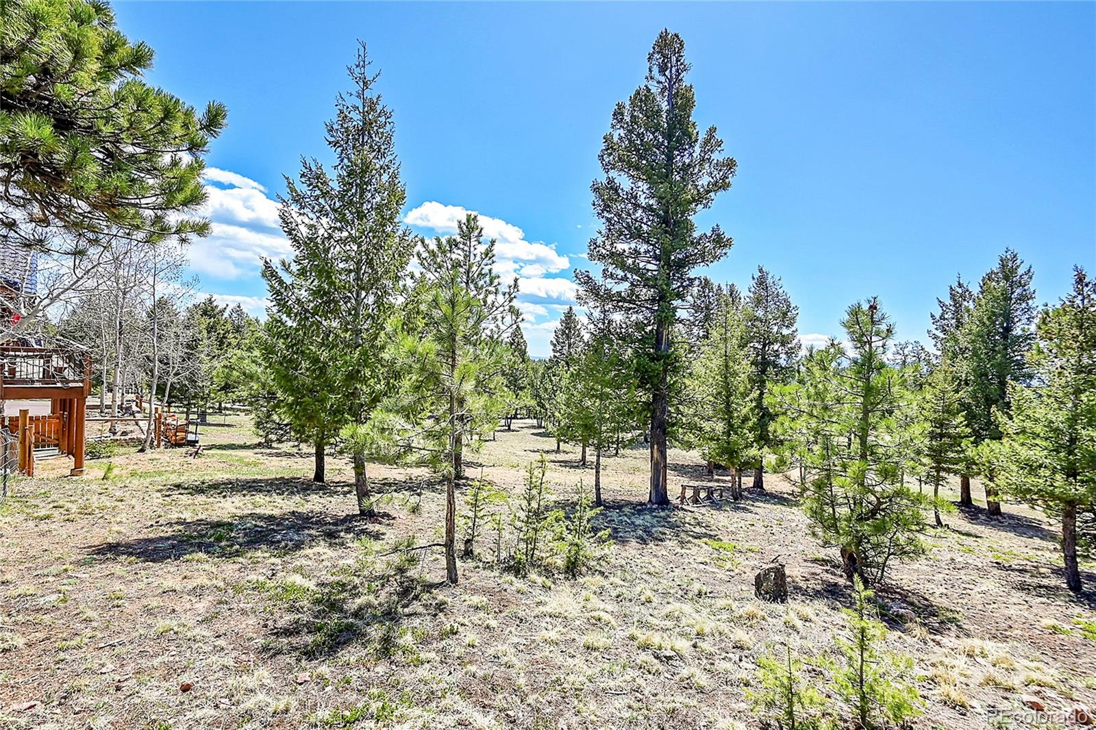 MLS Image #32 for 1392  tapadero road,bailey, Colorado