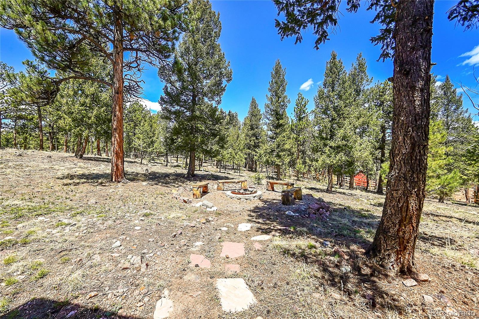 MLS Image #33 for 1392  tapadero road,bailey, Colorado