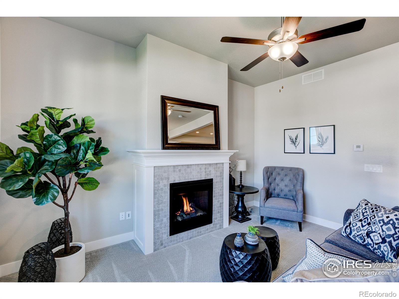 MLS Image #10 for 4177  trapper lake drive,loveland, Colorado