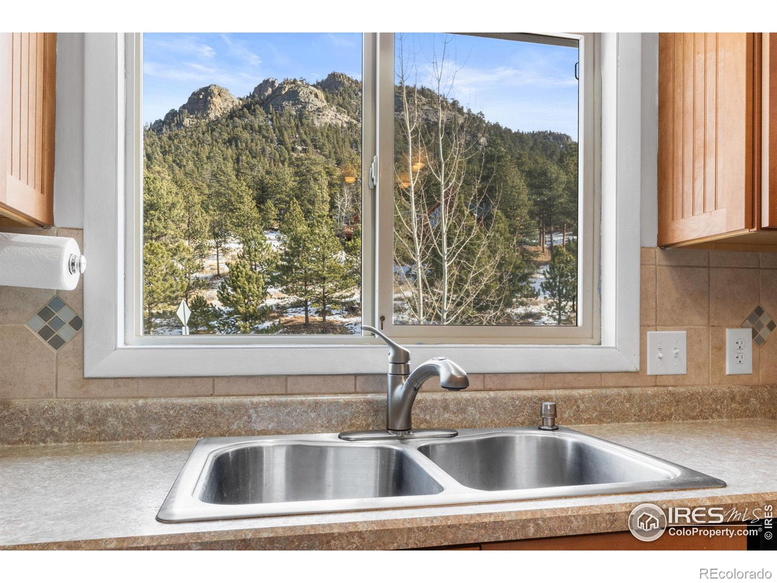 MLS Image #7 for 2041  fish creek road,estes park, Colorado