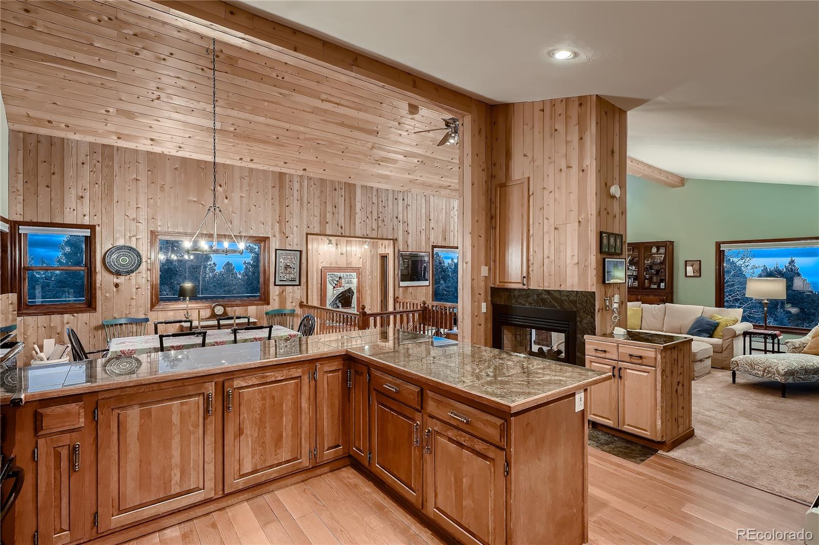 MLS Image #13 for 4987  bear mountain drive,evergreen, Colorado