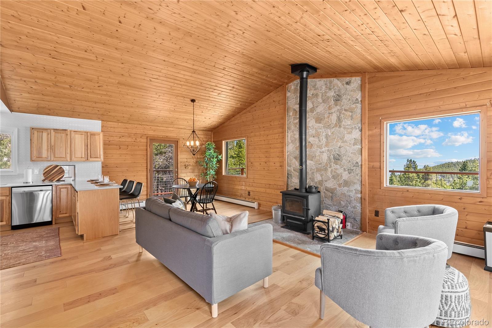 MLS Image #18 for 1123  lodgepole drive,evergreen, Colorado