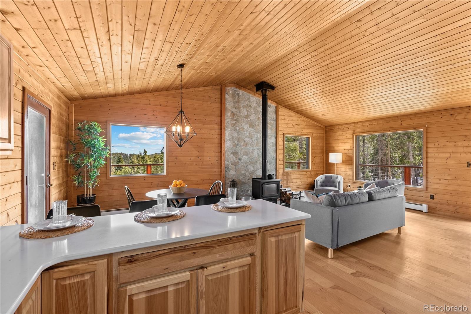 MLS Image #23 for 1123  lodgepole drive,evergreen, Colorado