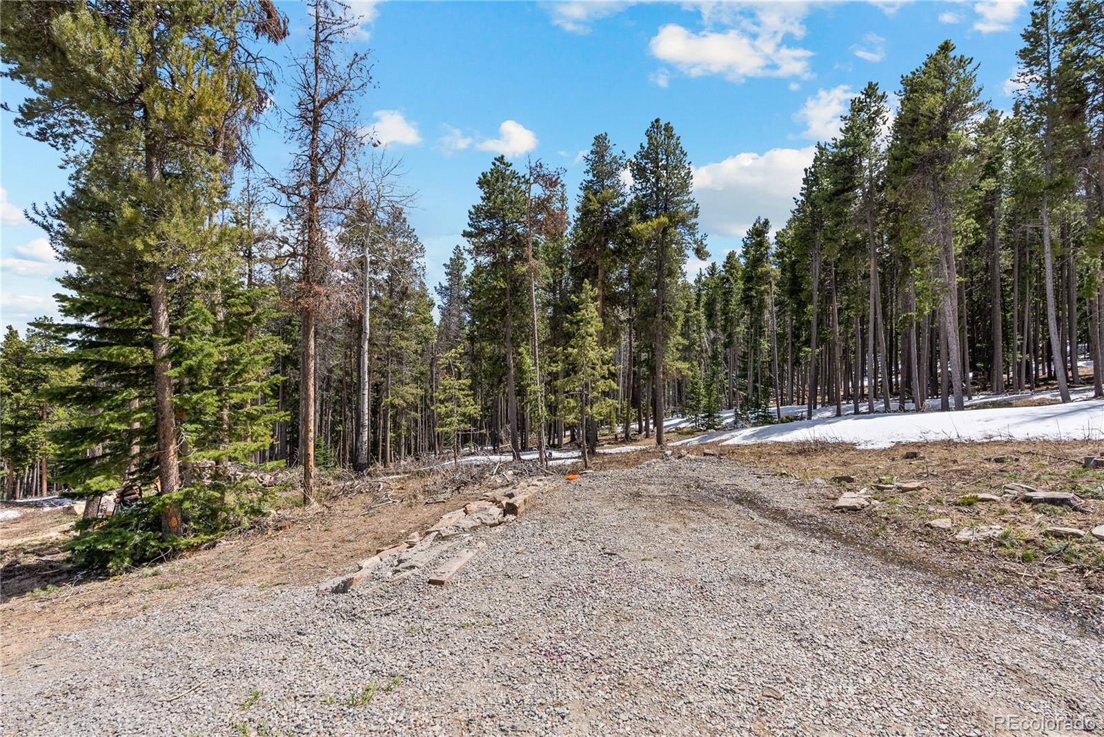 MLS Image #37 for 1123  lodgepole drive,evergreen, Colorado