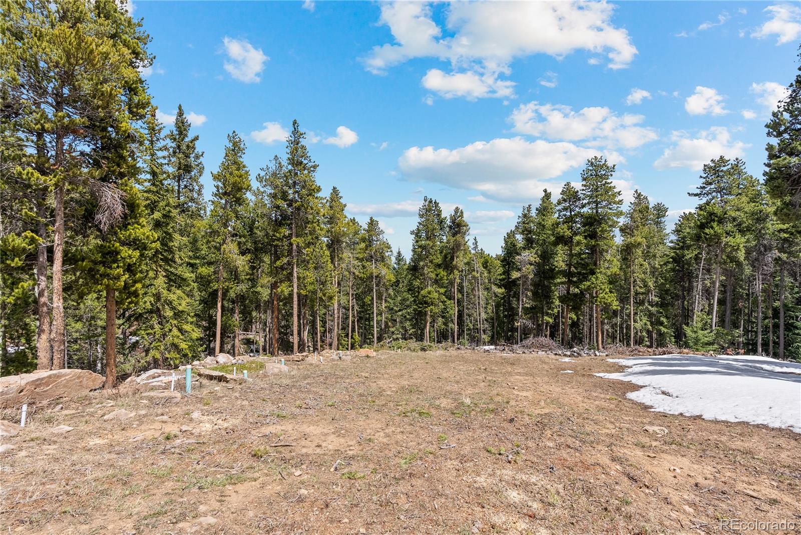 MLS Image #39 for 1123  lodgepole drive,evergreen, Colorado