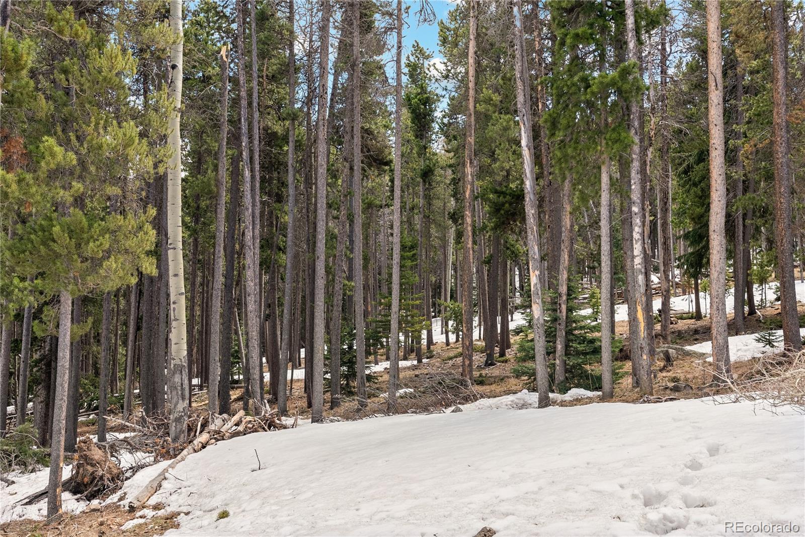 MLS Image #40 for 1123  lodgepole drive,evergreen, Colorado