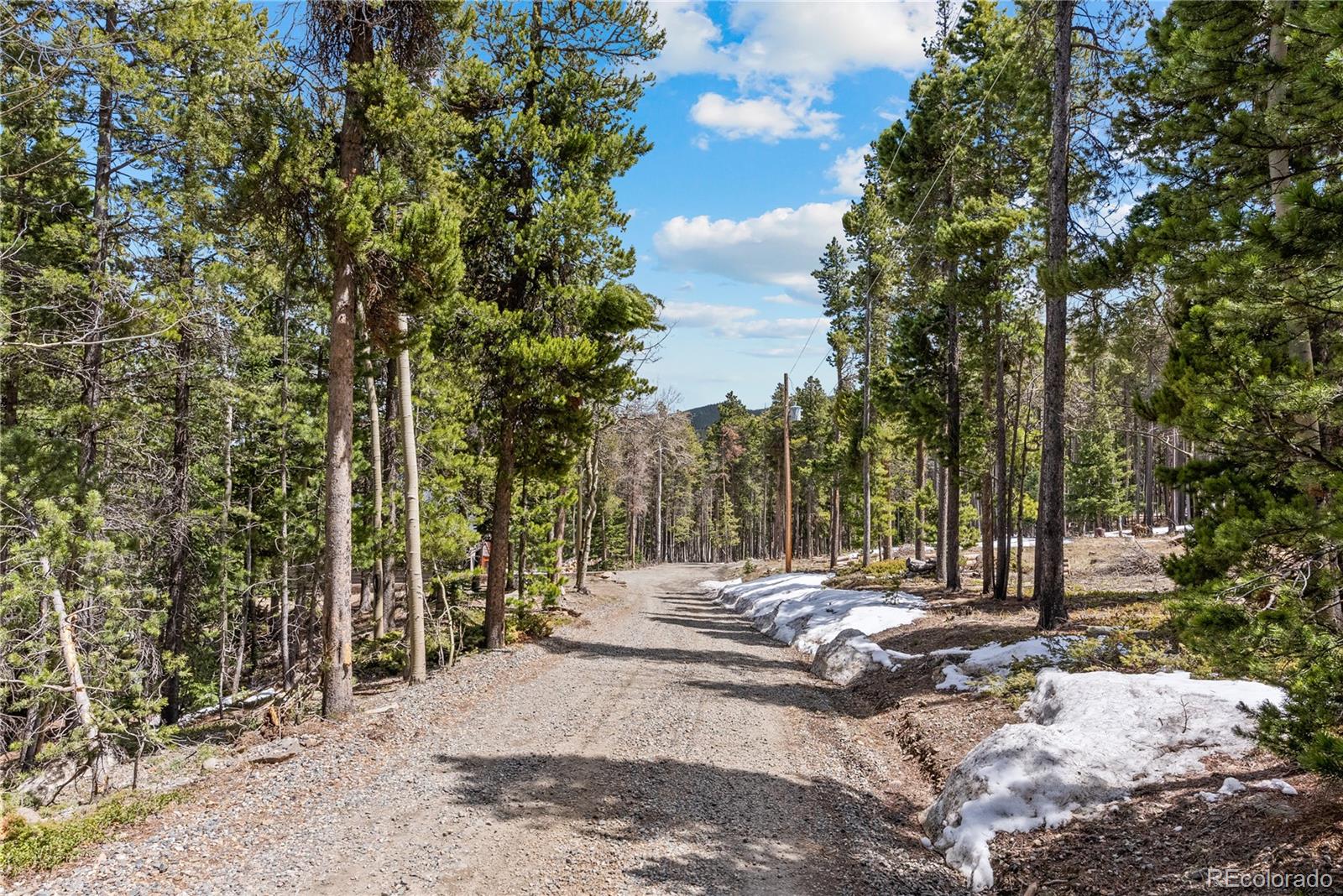 MLS Image #42 for 1123  lodgepole drive,evergreen, Colorado