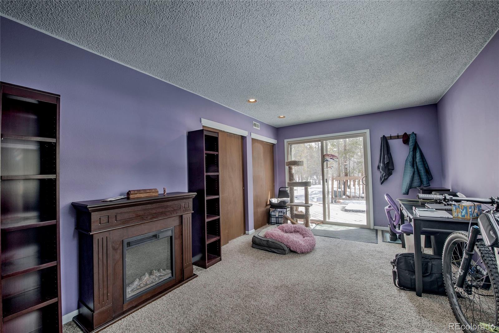 MLS Image #15 for 234  baby doe drive,leadville, Colorado