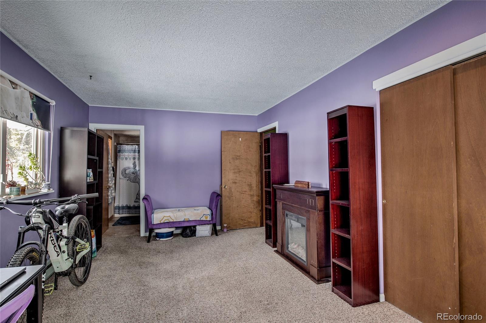 MLS Image #17 for 234  baby doe drive,leadville, Colorado