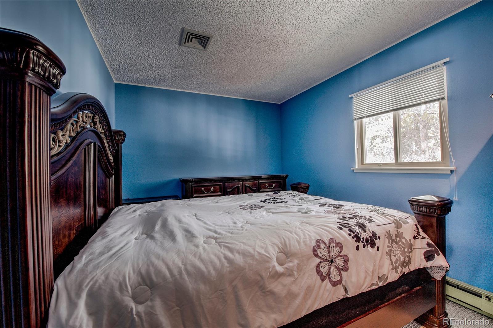 MLS Image #19 for 234  baby doe drive,leadville, Colorado