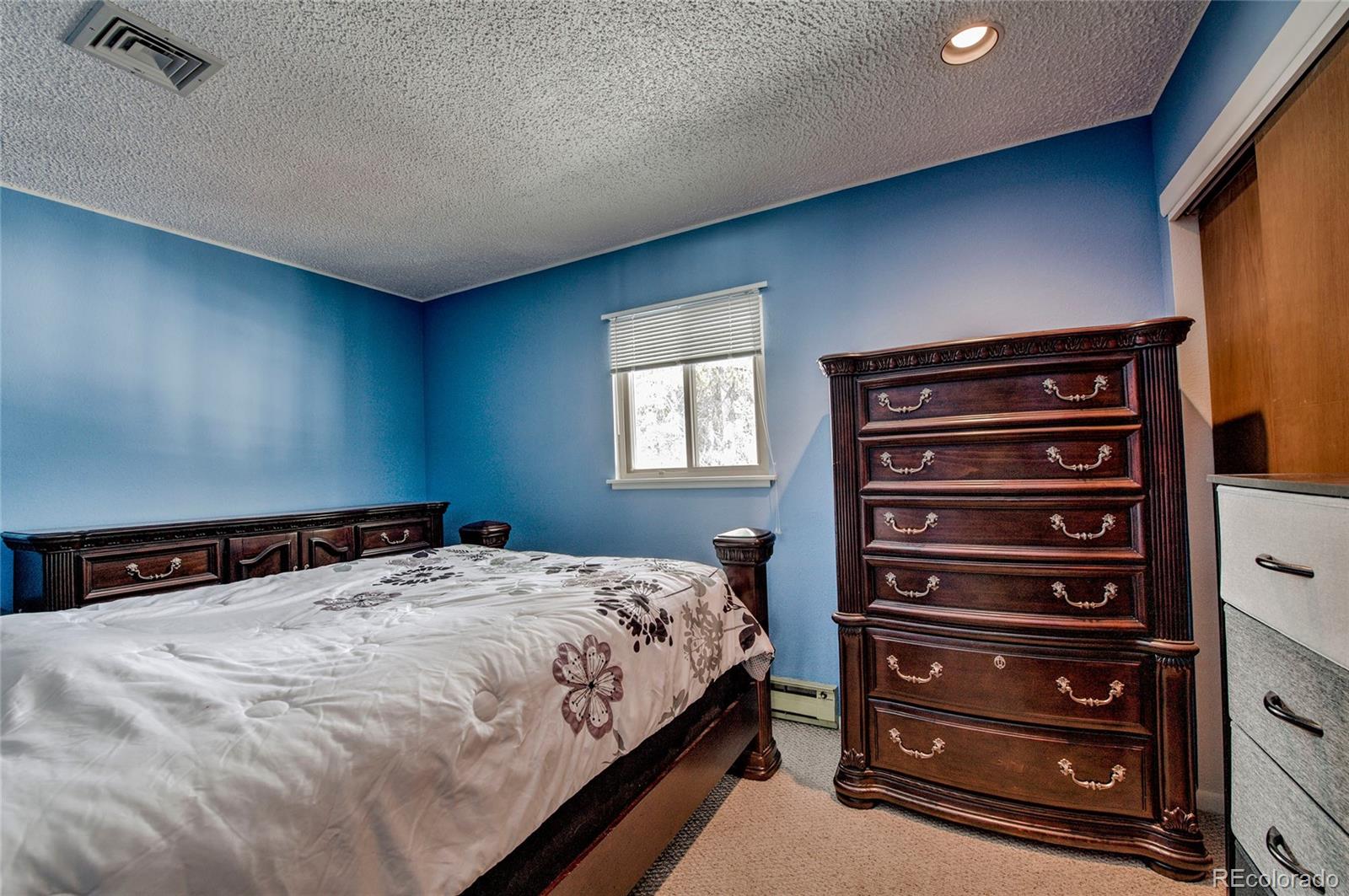 MLS Image #20 for 234  baby doe drive,leadville, Colorado