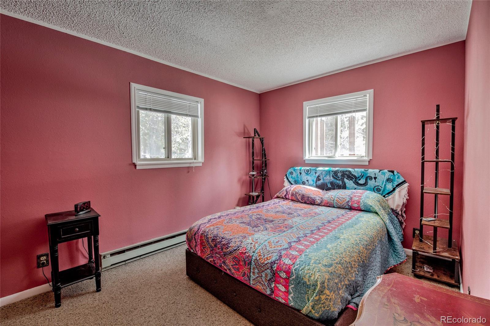 MLS Image #22 for 234  baby doe drive,leadville, Colorado